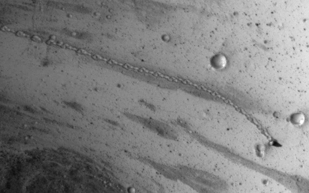 Mars Boulder Trail Closeup