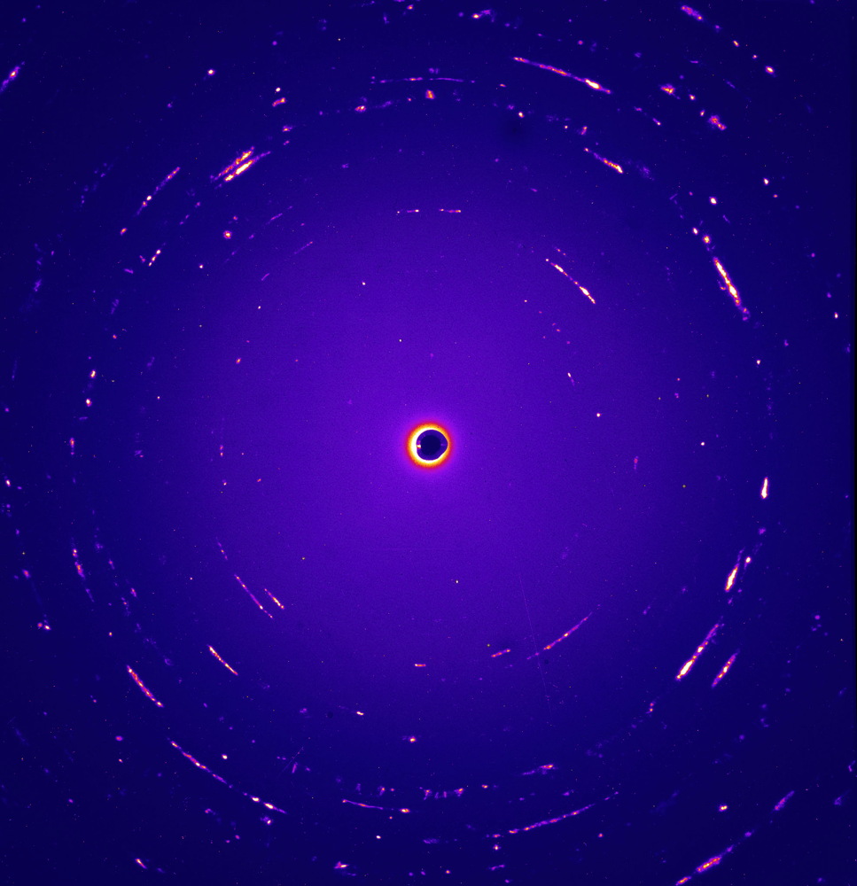 Diffraction Pattern of Interstellar Dust Candidate Orion