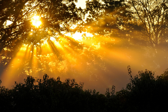 Plenty of sun light was reaching Earth but where were the neutrinos to prove the theory?