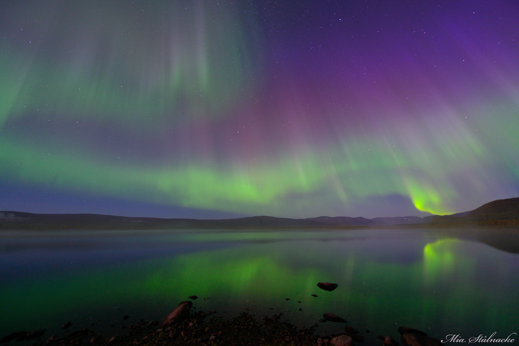Aurora and Fog Over a Lake