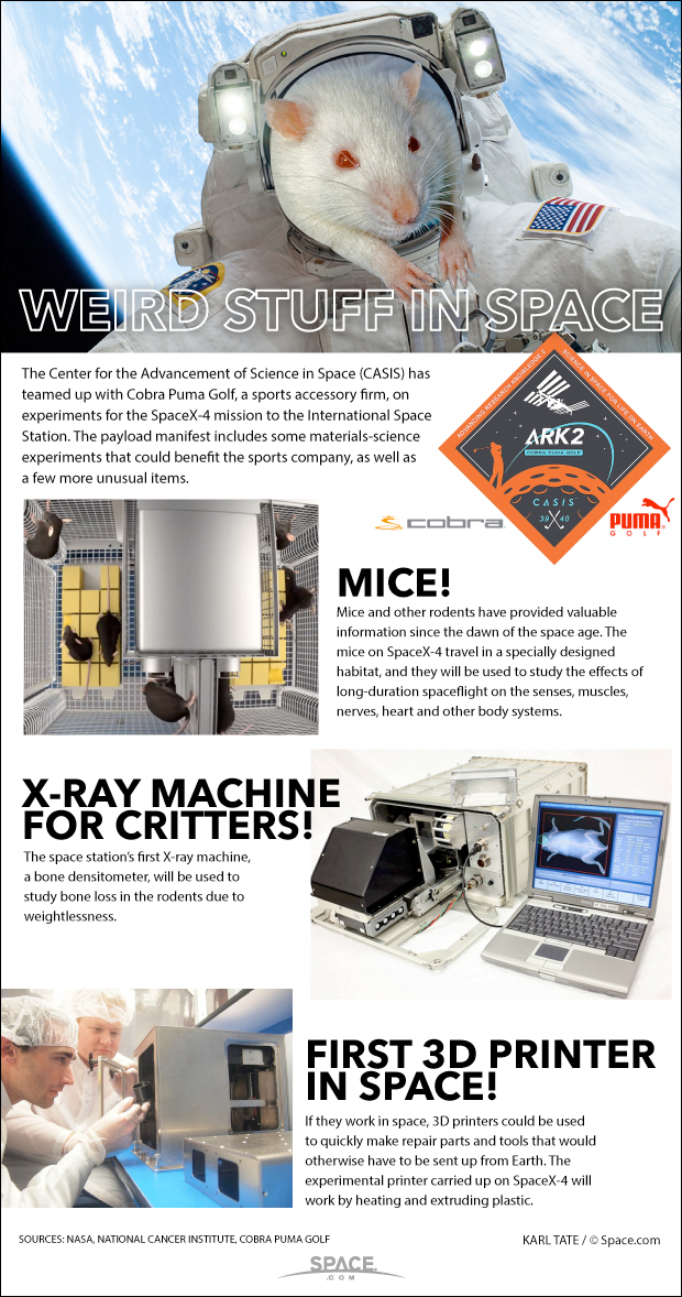SpaceX Dragon Flying Mice in Space & More for NASA (Infographic)