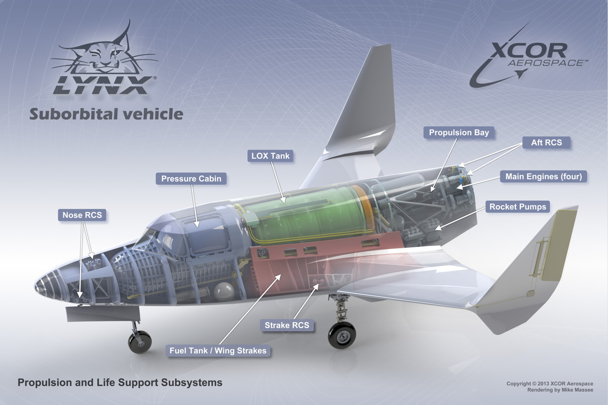 Lynx Cutaway View
