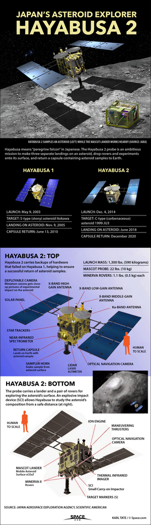 Hayabusa2, the second in Japan's Hayabusa mission series, will drop probes on and take samples from asteroid 1999 JU3. <a href="http://www.space.com/27910-japan-hayabusa2-asteroid-mission-infographic.html">See how the Hayabusa2 asteroid sample-return mission works in this Space.com infographic</a>.