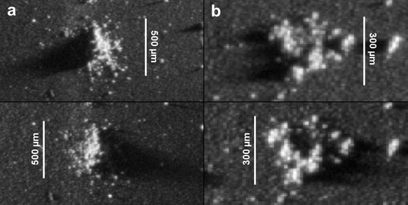 This image shows so-called "fluffy" dust grains from the Comet 67P/Churyumov-Gerasimenko as seen by the COSIMA dust experiment aboard the European Space Agency's Rosetta spacecraft.