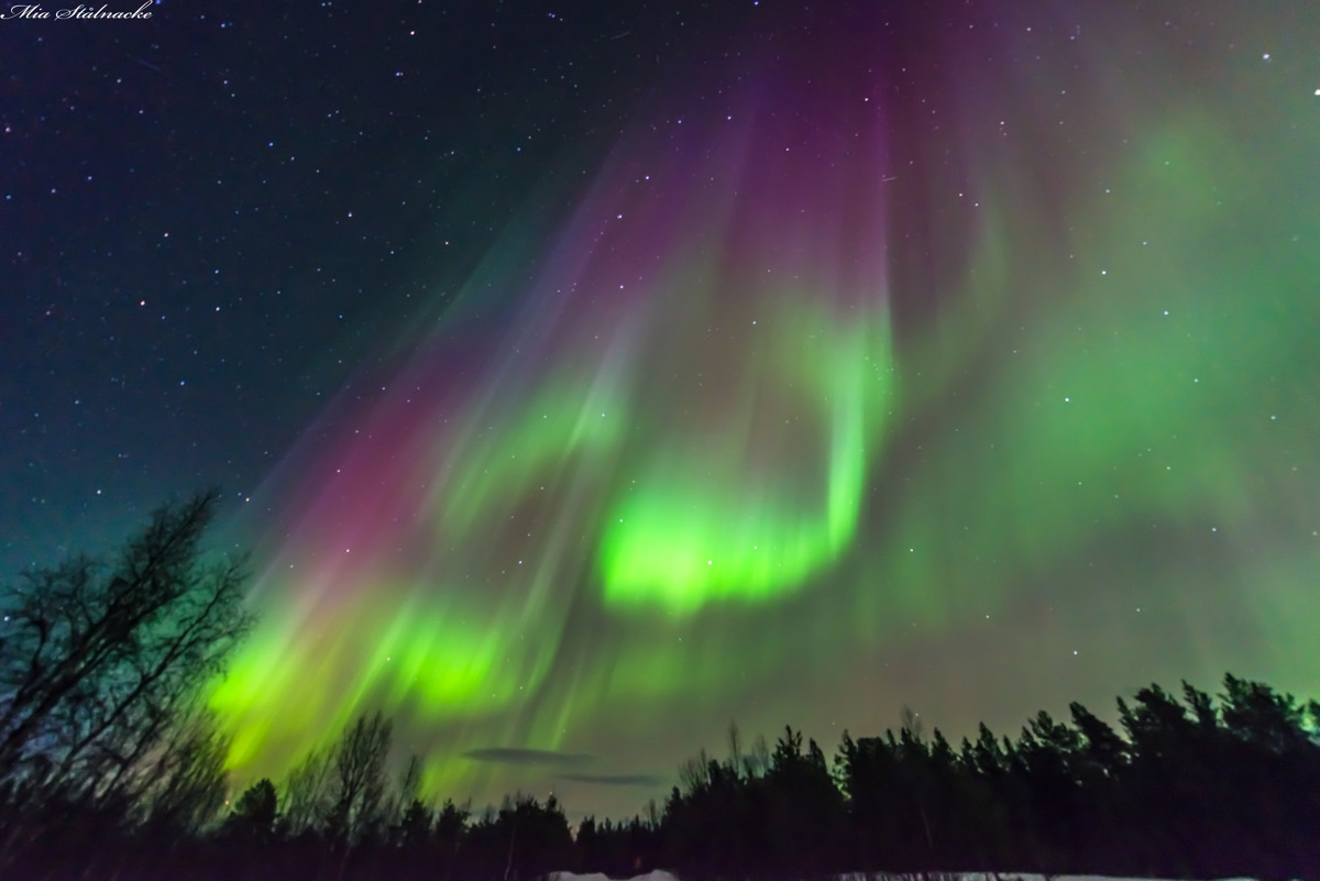 The Northern Lights of 2015