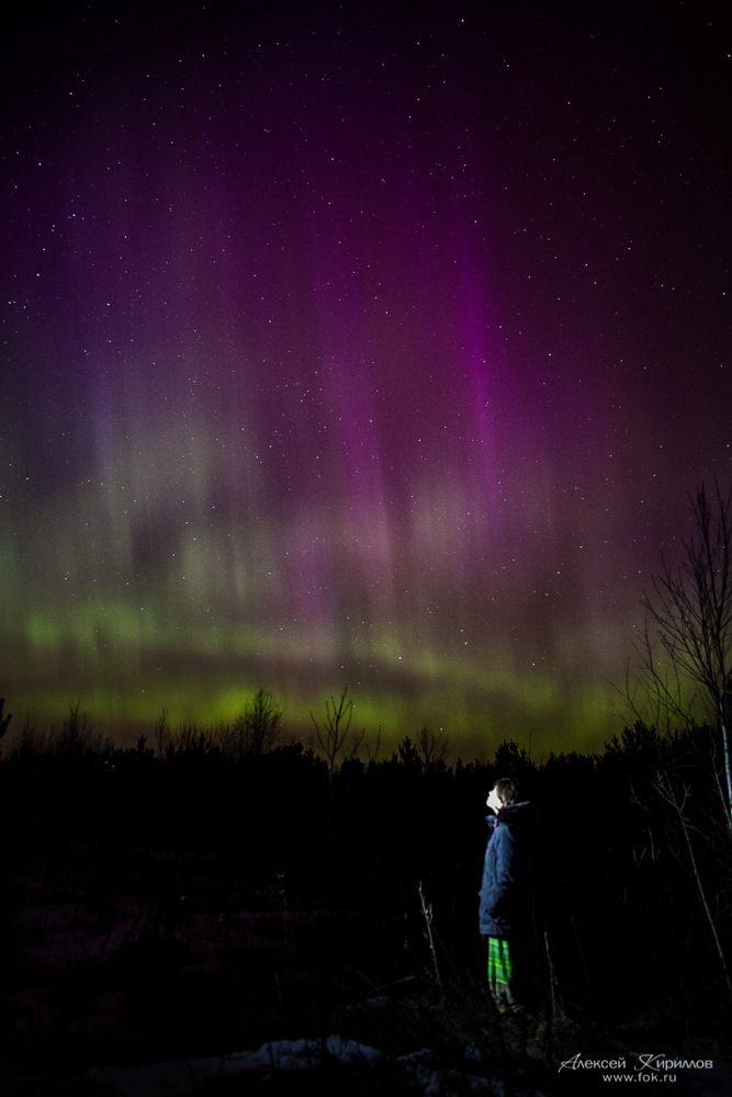 Aurora Near Moscow, March 17, 2015