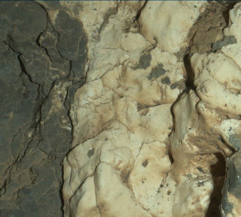 Curiosity Close-up of 'Garden City' Mineral Veins