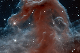 The Horsehead Nebula, which can be found in the constellation Orion, was discovered over a century ago. But few images of the nebula compare to this one taken by the Hubble telescope in 2013.