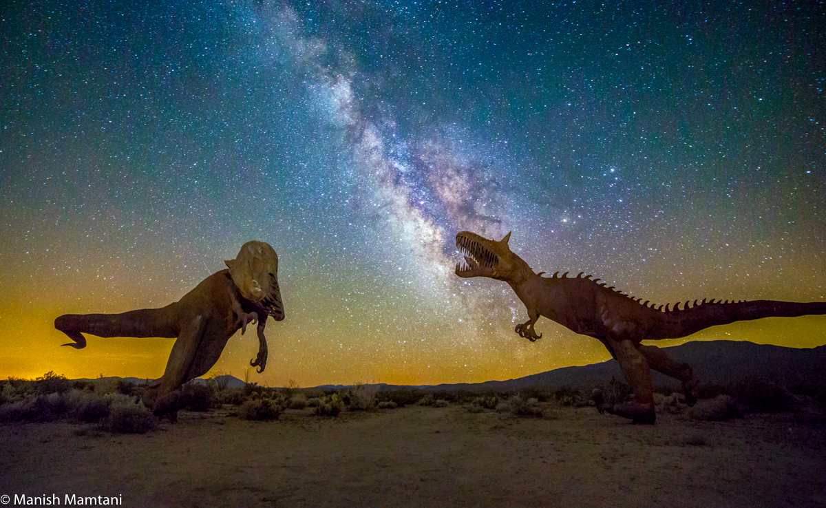 Everybody Walk the Dinosaur