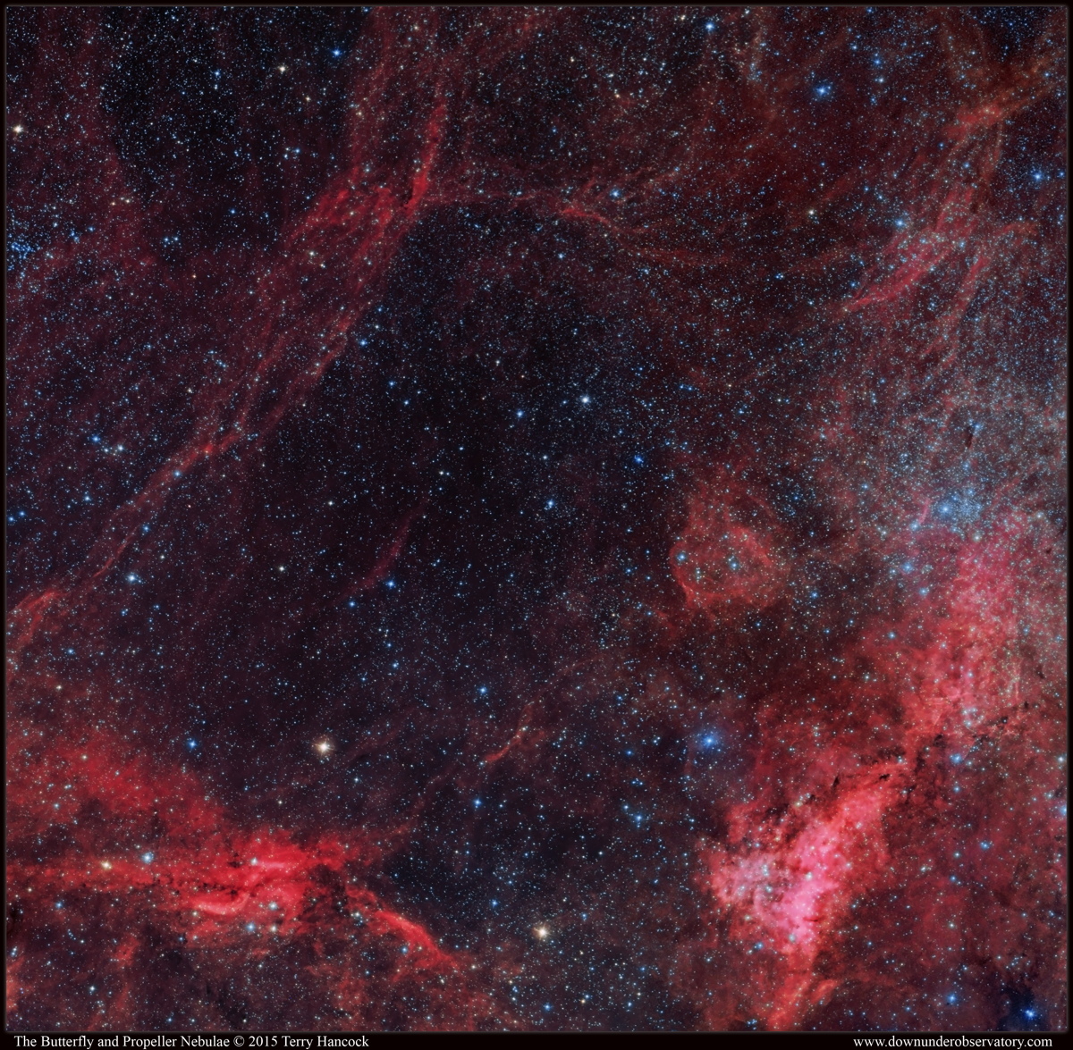 Part of the Gamma Cygni Region Including IC 1318a