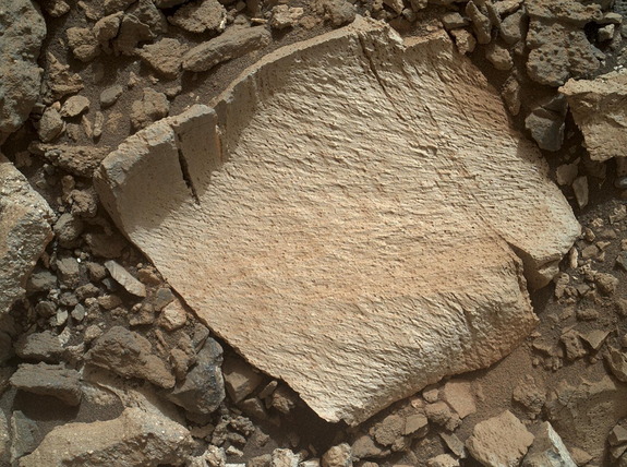 NASA's Curiosity rover photographed this rock fragment dubbed "Lamoose" on Mars. Image released July 23, 2015