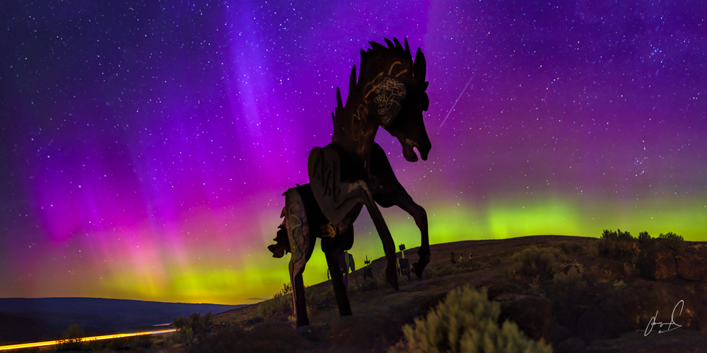 Wild Horses by Matias
