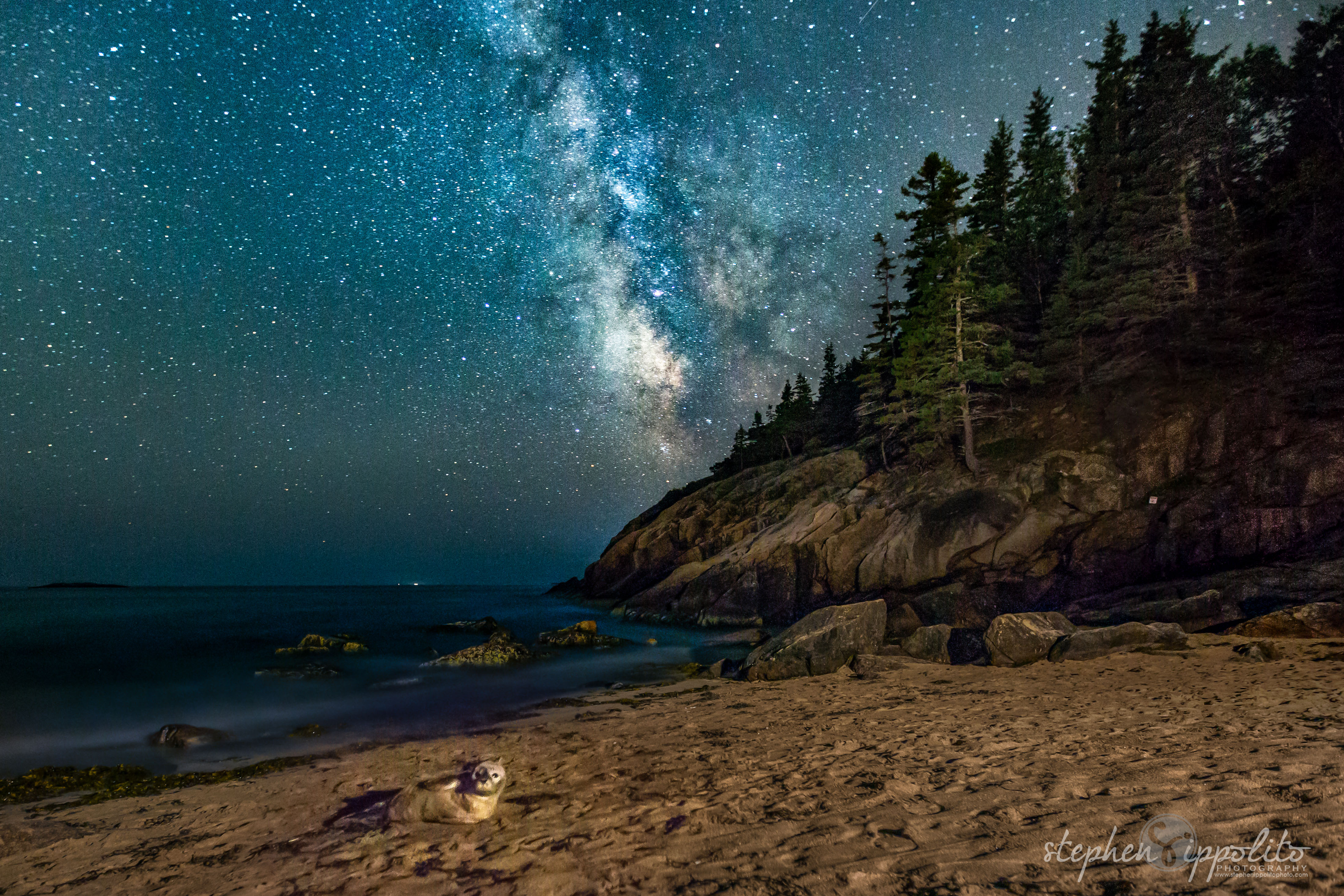 Milky Way and Harbor Seal by Ippolito