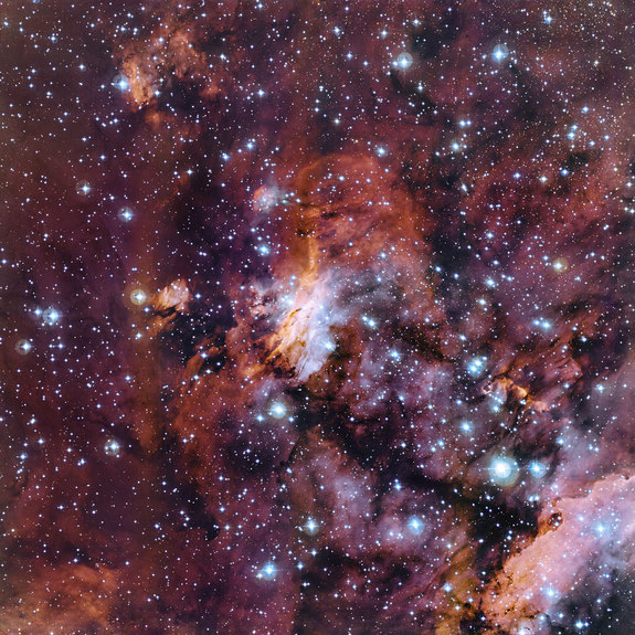 This new image, taken from the La Silla Observatory in Chile, spotlights part of the Prawn Nebula where newborn stars stud clouds of gas and dust.