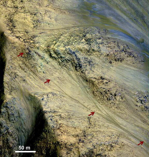 Features called recurring slope lineae (RSL), which could indicate seasonal flows of salty water, are found on some Martian slopes in warmer months. Red arrows point out an RSL in this image taken by the High Resolution Imaging Science Experiment (HiRISE) camera system on NASA’s Mars Reconnaissance Orbiter.