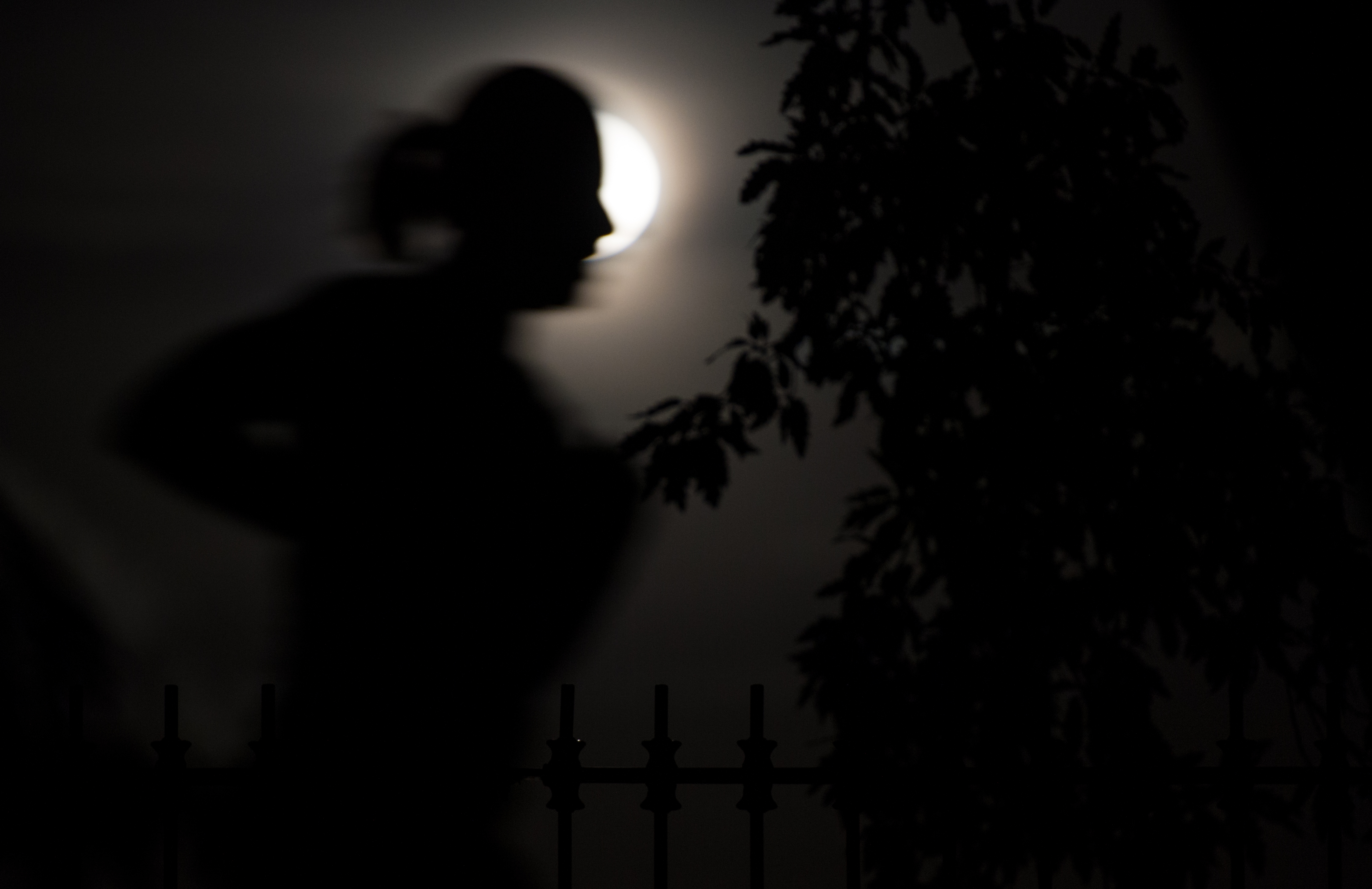 A Full Moon Rises in Central Park