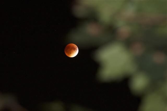 Michigan Engineering Supermoon Eclipse