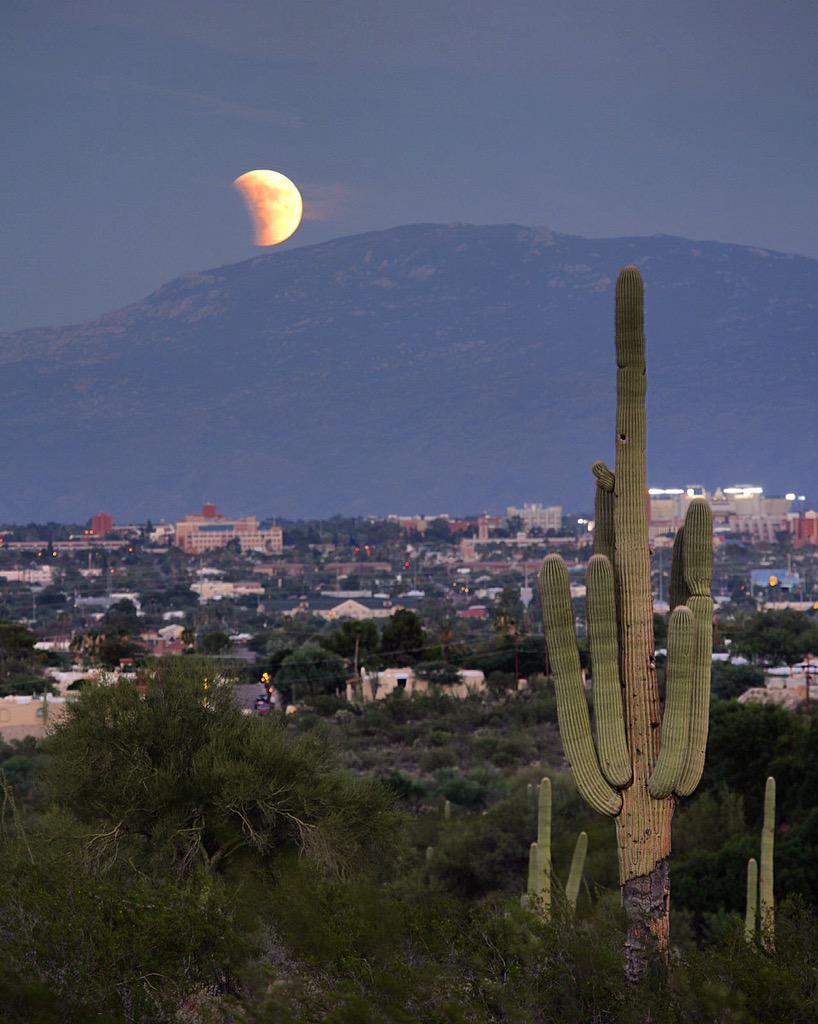 Supermoon Total Lunar Eclipse, Tuscon AZ