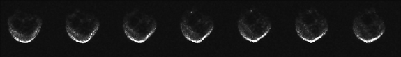 This first series of radar images of the Halloween asteroid 2015 TB145 show that it is about 2,000 feet (600 meters) wide and roughly spherical in shape. The images were taken by the Arecibo Observatory in Puerto Rico.