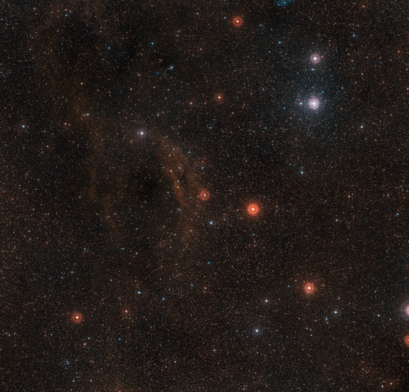 The red hypergiant star VY Canis Majoris (center, near dust cloud) is one of the largest known stars in the Milky Way. When spotted with a telescope in the night sky, it glows a vivid red.