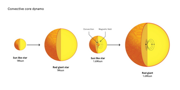 Red-giant stars just slightly more massive than the sun hide strong magnetic fields in their cores because of the way convection operates.
