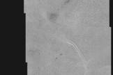 The images that make up this high-resolution view of the icy Pluto plain known as Sputnik Planum was captured by NASA's New Horizons probe on July 14, 2015.