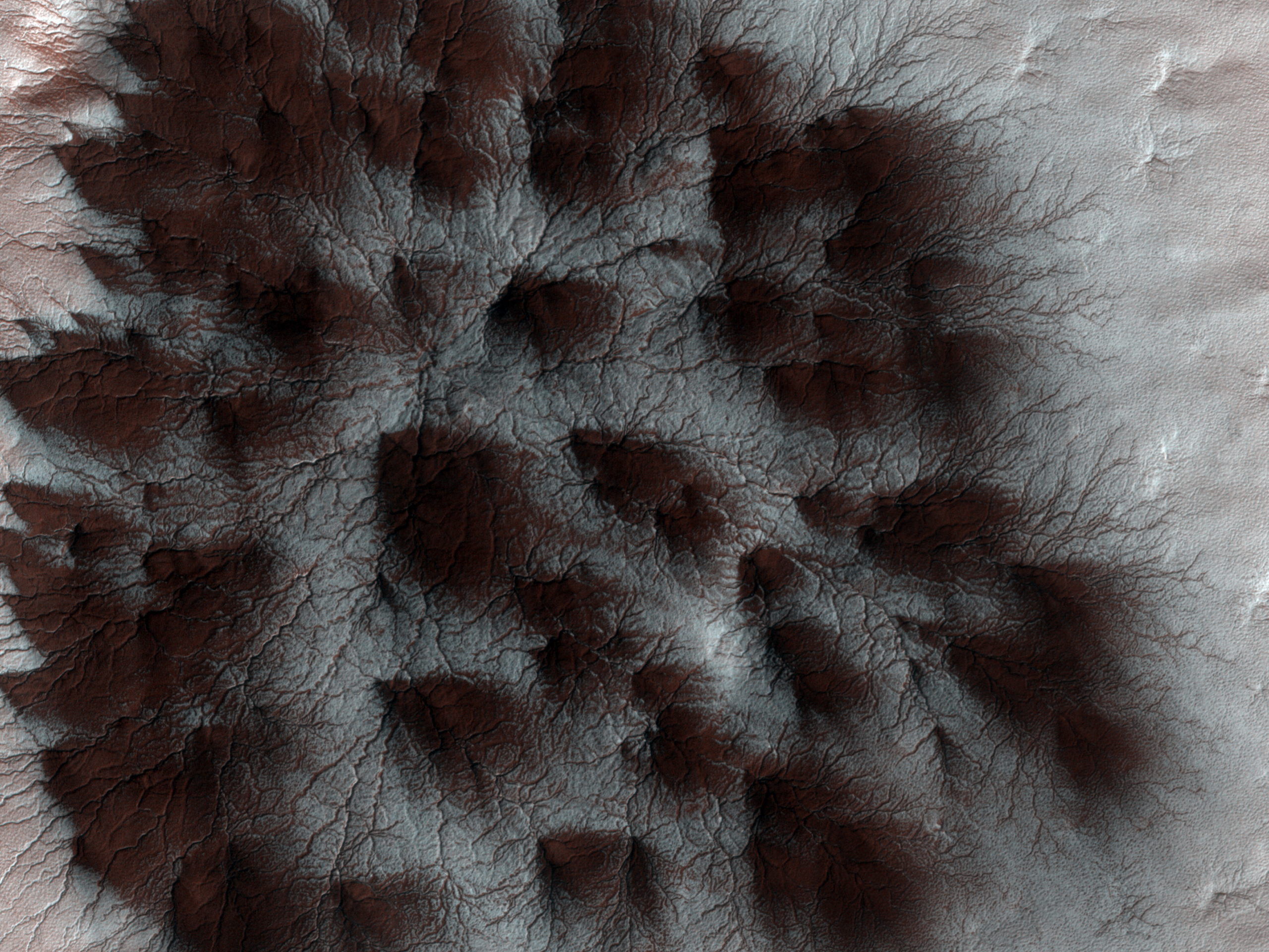 Spider Veins on Mars