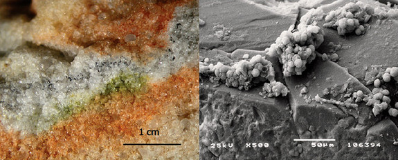 Section of rock colonised by cryptoendolithic microorganisms and the Cryomyces fungi in quartz crystals under an electron microscope.