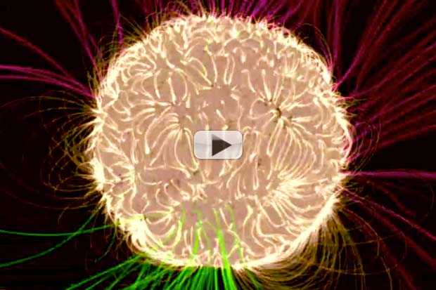 Our Sun Is A Roiling Ball Of Magnetism, Computer Reveals | Video