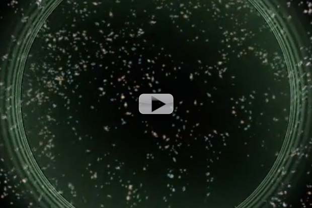 Historic Gravitational Waves Discovery Explained By Experts | Video