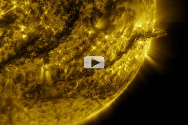 Sun's Busy, 'Buzzy' Life - 1 year In 2.5 Minutes | 4K Video