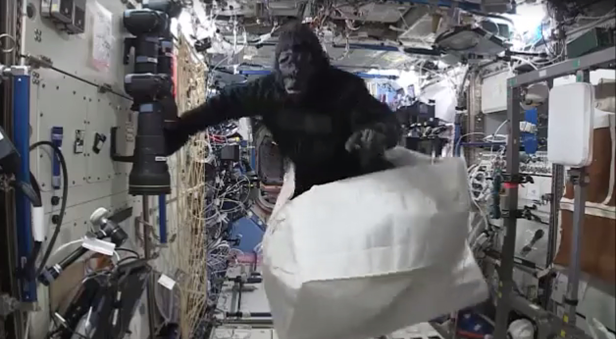 Astronaut Scott Kelly Goes Ape