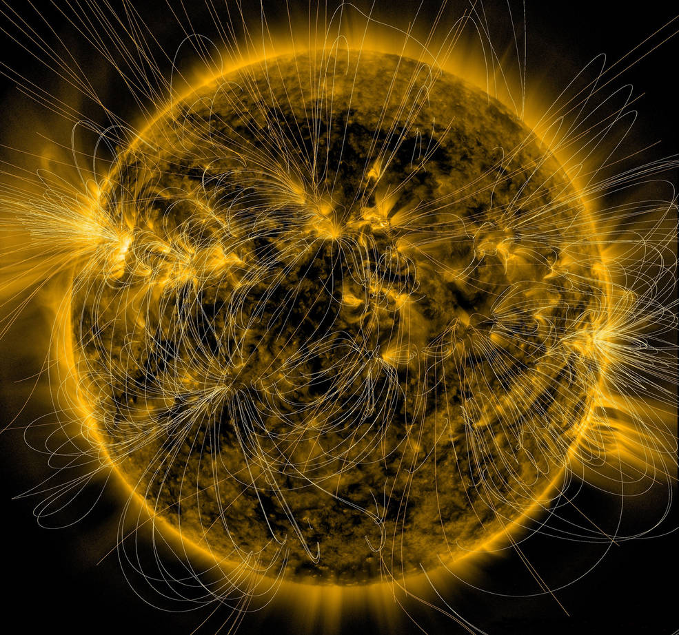 Sun Writhes with Magnetic Field Lines in New Vizualization (Photo)