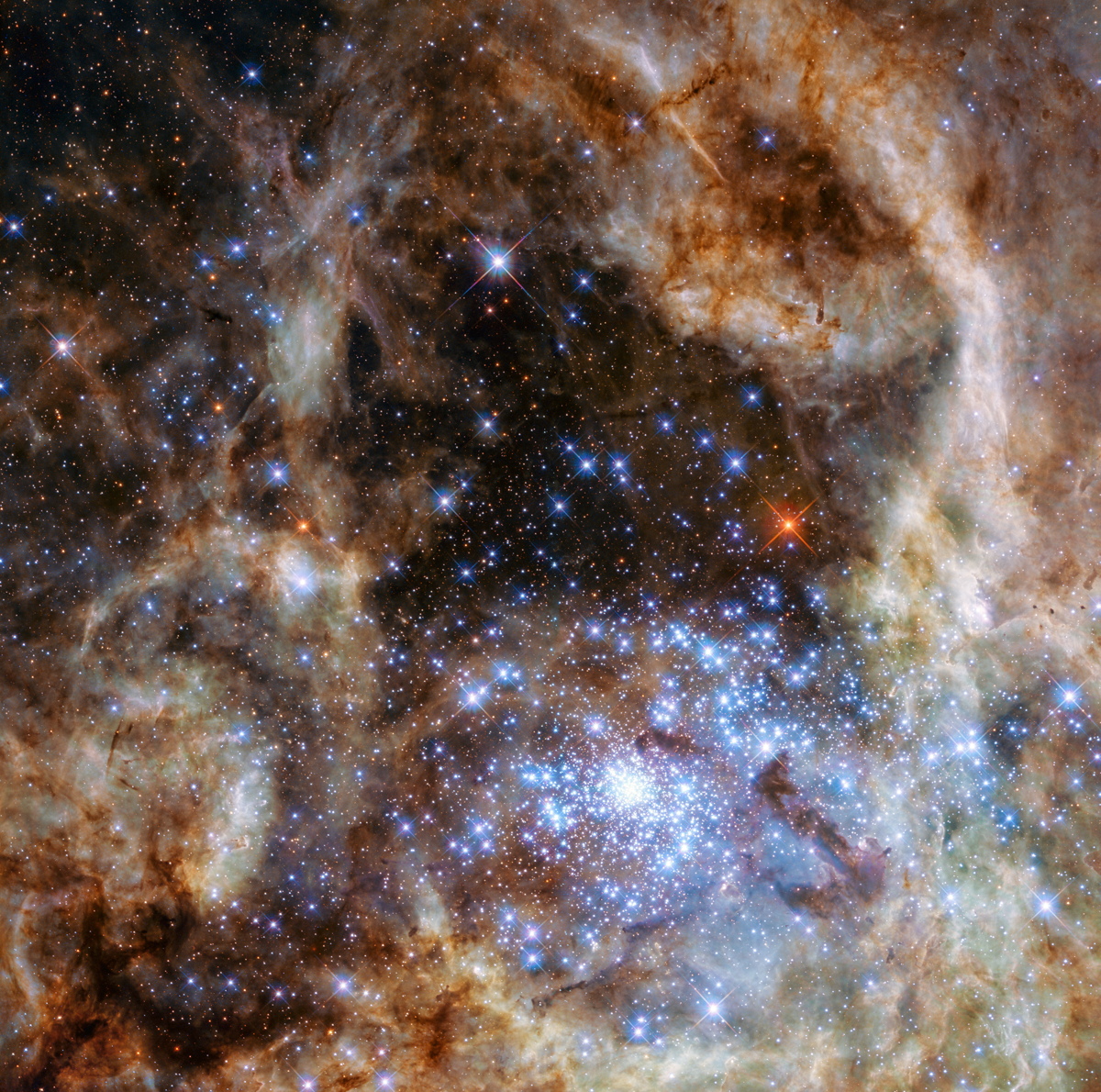 Mon-Stars! Cluster of Massive Suns Spotted by Hubble Telescope (Photo)