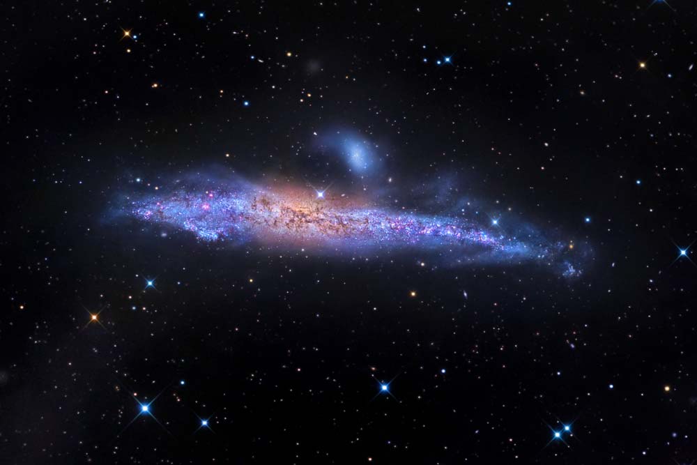 The Cosmic Whale and Its Galactic Neighbors | Space Wallpaper