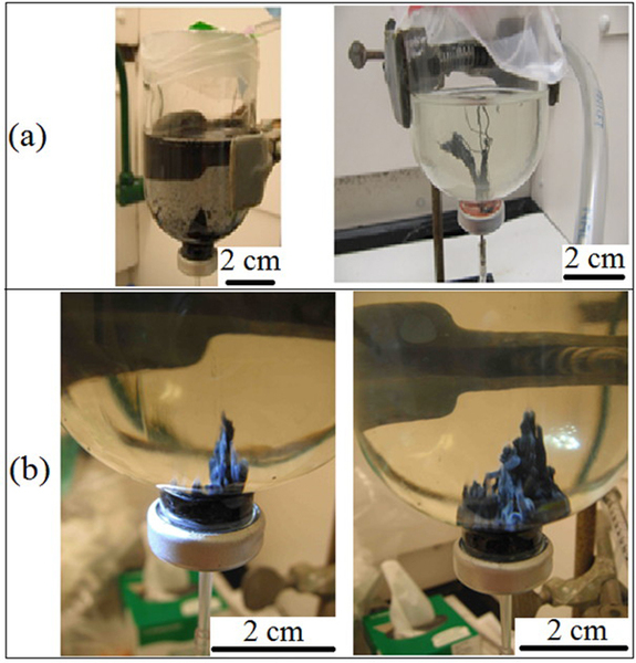 Chimney-like mineral structures created in the lab created from solutions containing iron, sulfur and silicon under a) low concentrations and b) high concentrations. Structures in a) represent mound (left) and spindle (right) formations, while those in b) represent chemical garden formations.