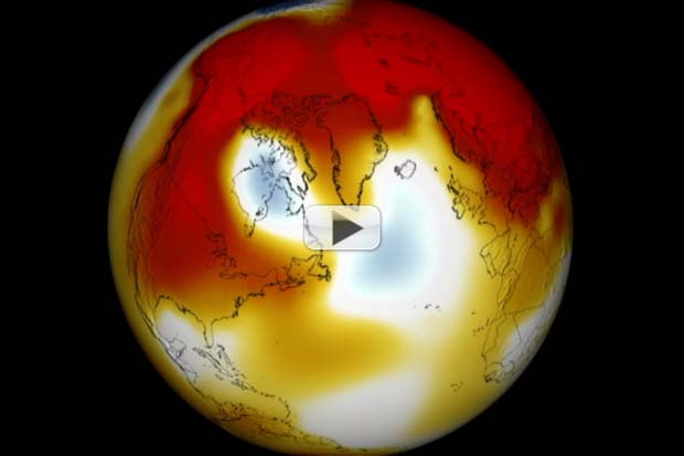 Sea Ice Is Melting Faster Than Expected, NASA Says | Exclusive Interview