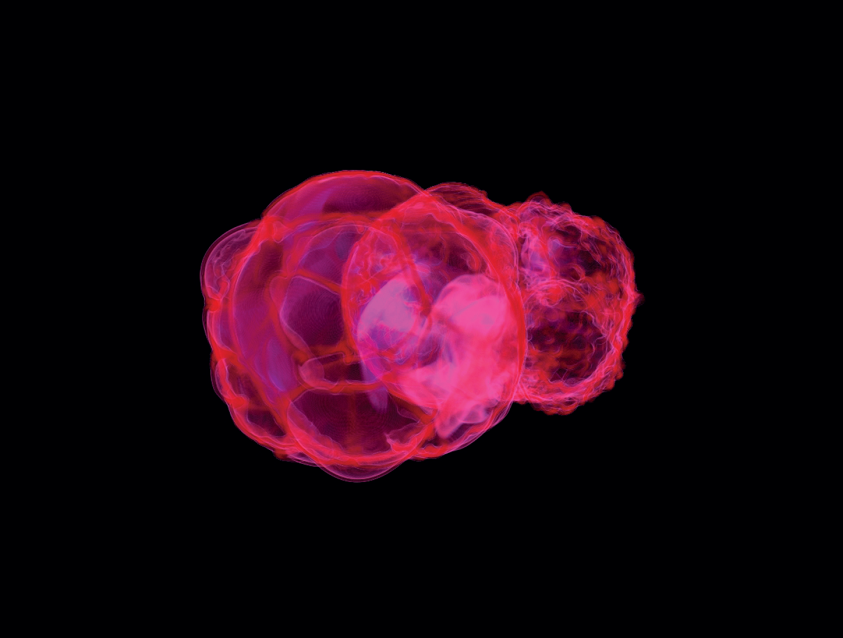 Nearby Supernova Explosions May Have Affected Human Evolution