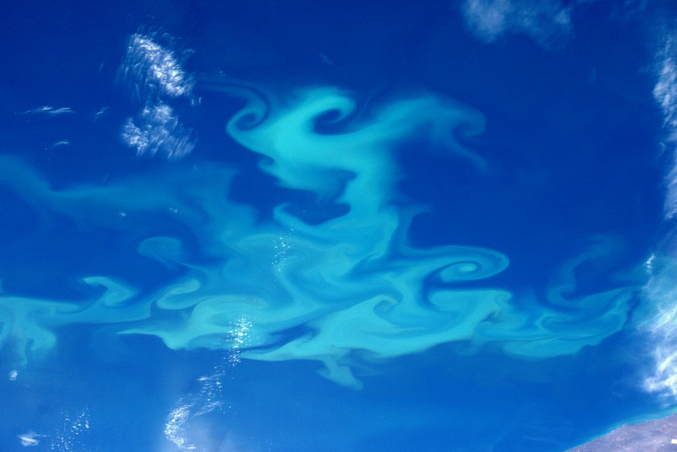 Plankton Bloom Over Patagonia
