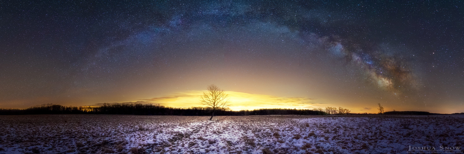 'The Burning Tree'