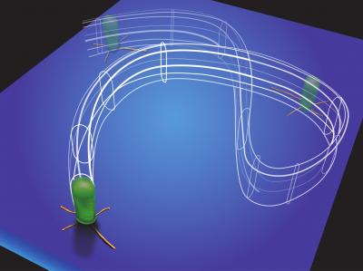 Appendages Help Microbes Survive Harsh Conditions