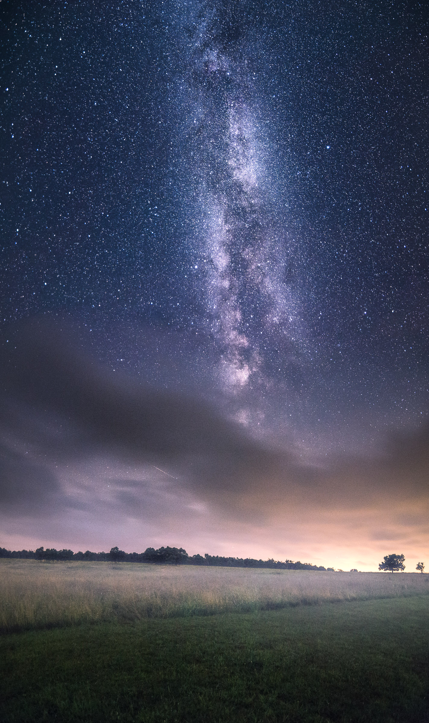 Milky Way Meets Meadow in Skywatcher Photo