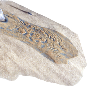 A digital model suggests how water flowing across the Martian surface could produce dark streaks as the liquid boils away.