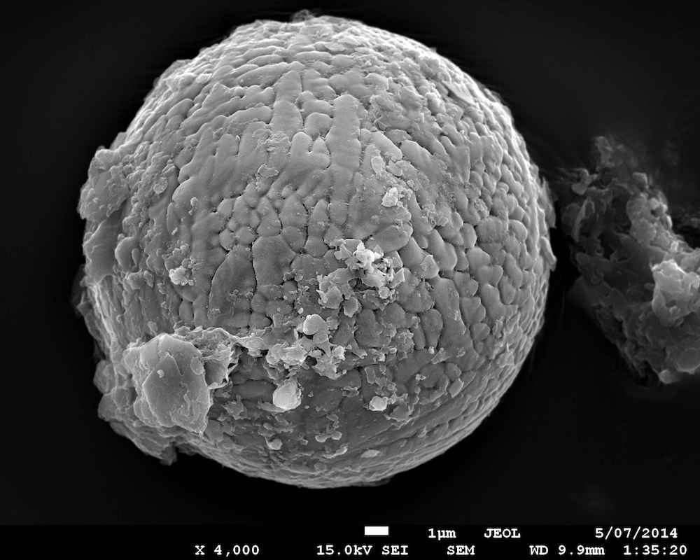 Cosmic Dust on Earth Reveals Clues to Ancient Atmosphere