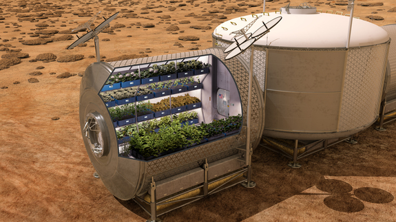Setting up a semi-permanent Mars base will require crop growth on the planet to sustain explorers far from Earth, experts say.