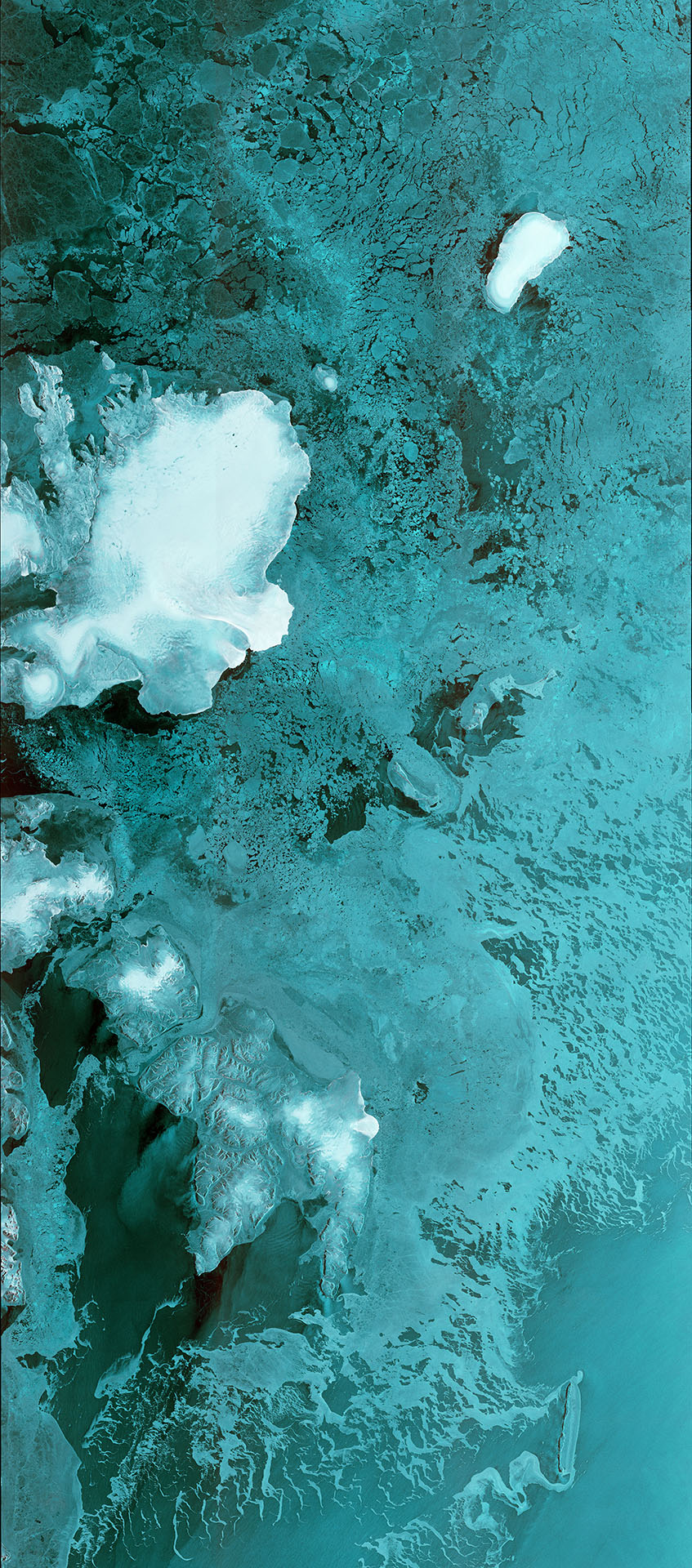 Radar Love from Sentinel 1B