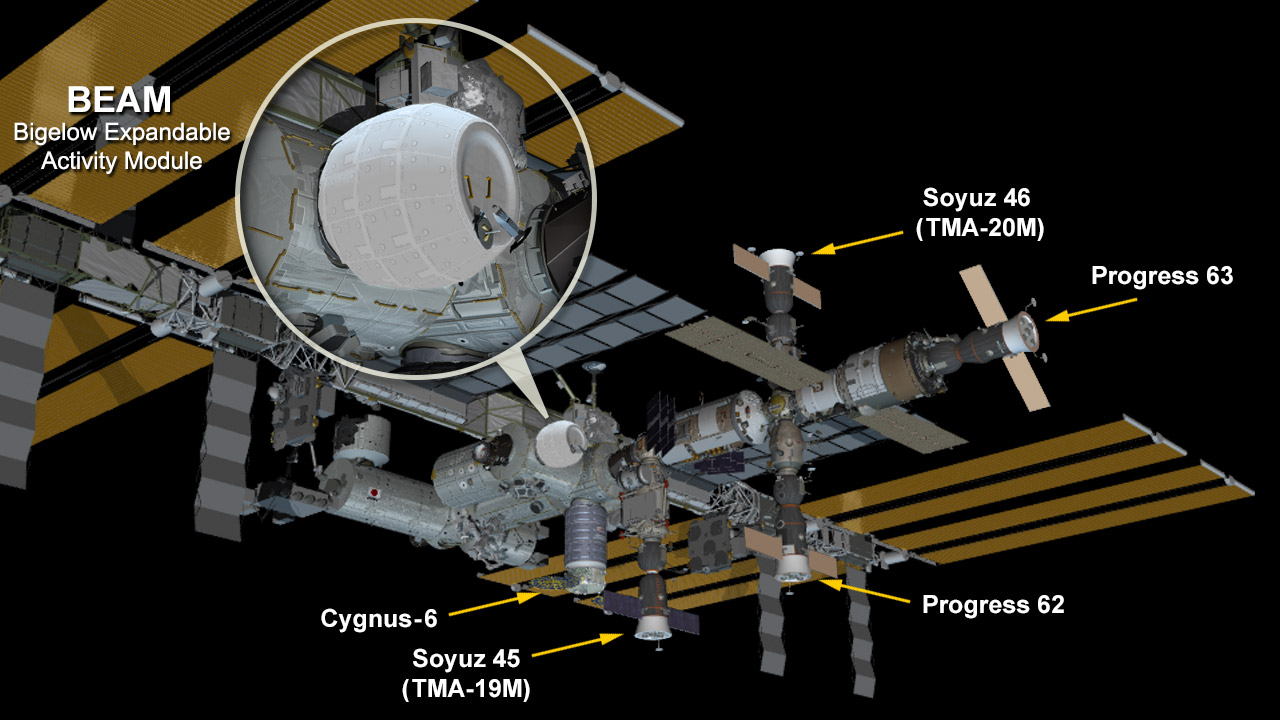 BEAM Habitat Location