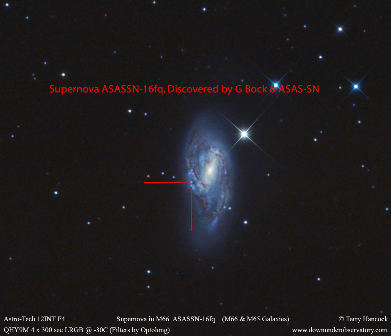 'Assassin' Captures a New Supernova, and Photographers Take Aim