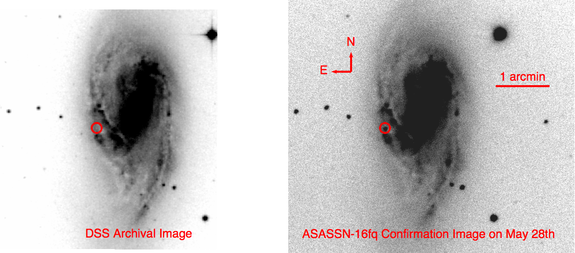 Supernova ASASSN-16fq, first spotted on March 28, 2016, by the All-Sky Automated Survey for Supernovae (ASAS-SN).