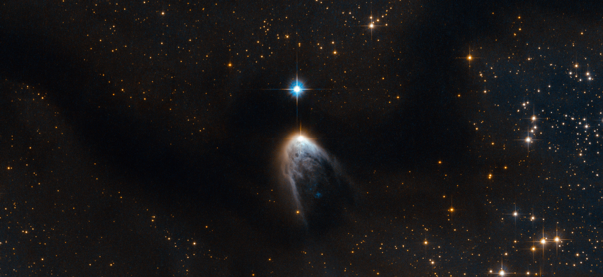 A Cosmic Hatchling